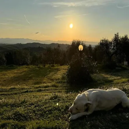 With Beautiful View On The Village